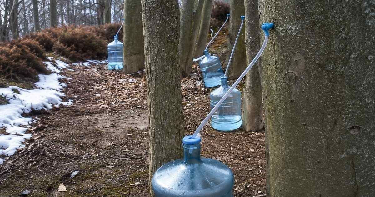 Water Freedom System: Clean Water from the Air